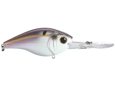 C15 - Gizzard Shad