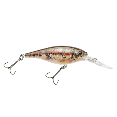 Berkley FFSH5M-HDBND Flicker Shad 5 HD BN Dace