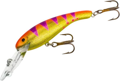 Cotton Cordell CD5581 Wally Diver 2 1/2 in, 1/4 oz, Got A Worm