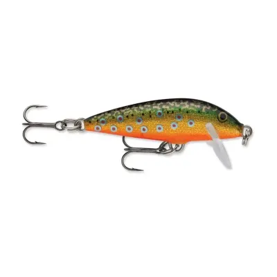 Rapala CD07BTR CountDown Lure, 2 3/4", 1/4 oz, Brook Trout, Sinking