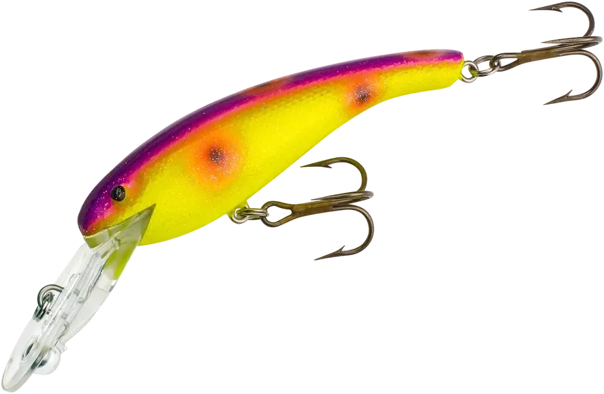 Cotton Cordell CD5583 Wally Diver 2 1/2 in, 1/4 oz, Asteroid