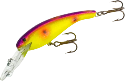 Cotton Cordell CD5583 Wally Diver 2 1/2 in, 1/4 oz, Asteroid