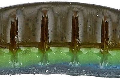 Roboworm 4 1/2" Ned Worm Green Pumpkin Perch