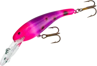 Cotton Cordell CD5579 Wally Diver 2 1/2 in, 1/4 oz, Purple Salamander