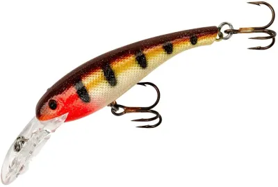 Cotton Cordell CD5343 Wally Diver Crankbait, 2 1/2", 1/4 oz, Special