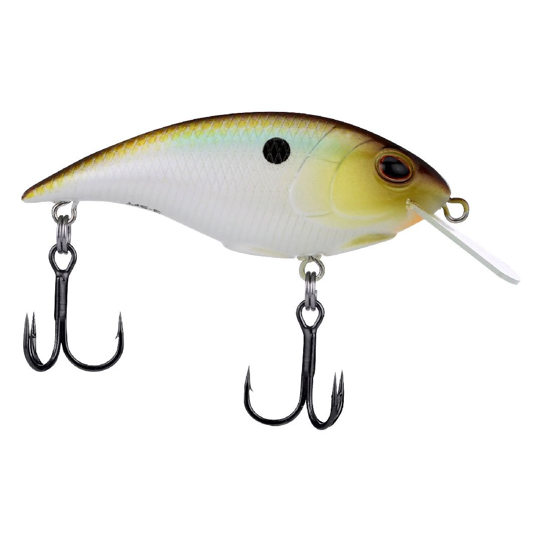Berkley Shallow Money Badger Tennessee Shad 5