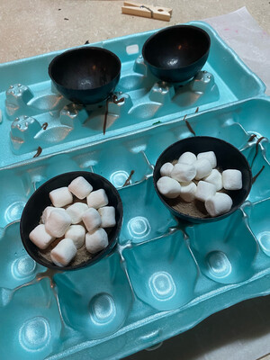 Cocoa Bombs