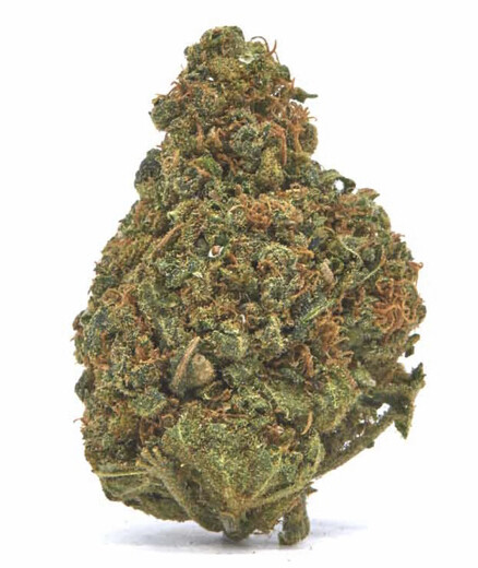 Sovereign Bubba