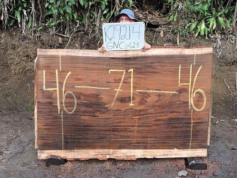 Parota live edge, raw, slab wood