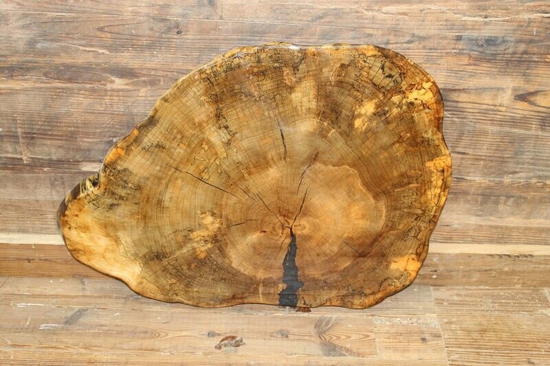 Spalted Maple Cross Cut w/ Caviar resin fill