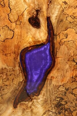 *SOLD* Live Edge Cross Cut Spalted Maple top with purple resin fill