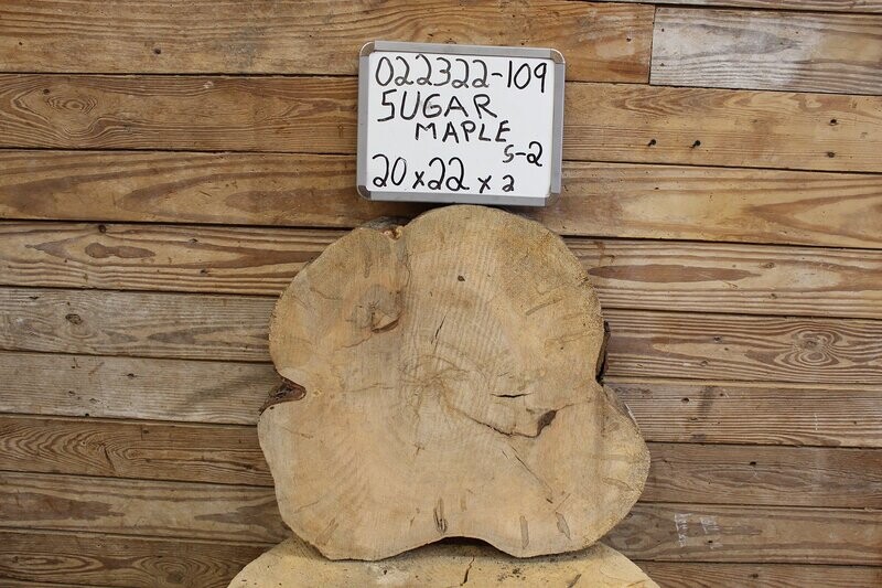 Live Edge Raw Sugar Maple Cross Cut