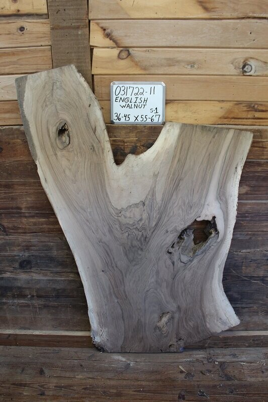 Live Edge Raw English Walnut Slab