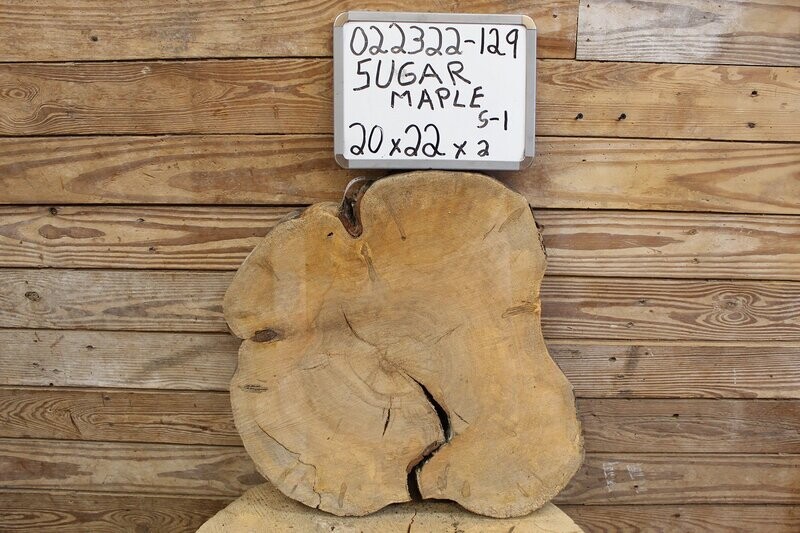 Live Edge Raw Sugar Maple Cross Cut