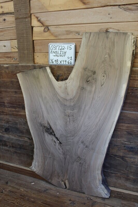 Live Edge Raw English Walnut Slab