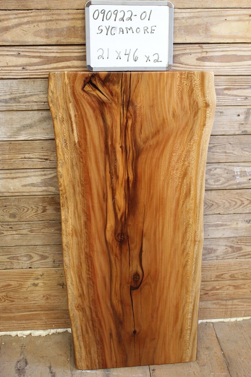 SOLD Live Edge Sycamore Slab Wood with Lacquer finish