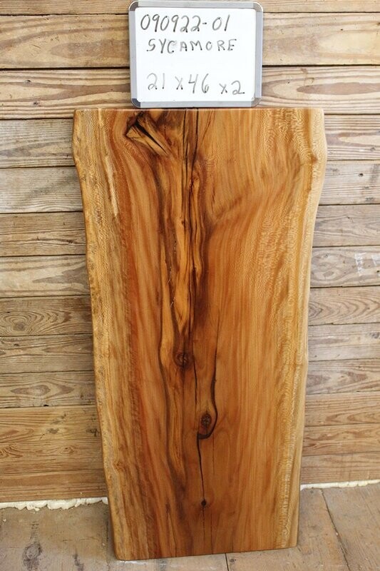 SOLD  Live Edge Sycamore Slab Wood with Lacquer finish