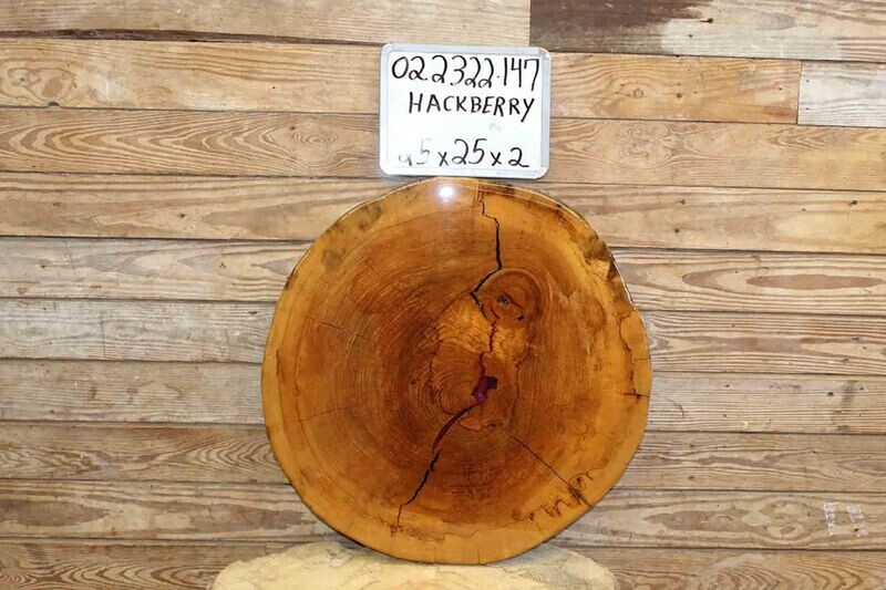 Live Edge Hackberry Crosscut w/ Parrot & Black Resin Fill