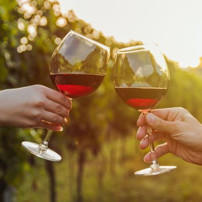 Wine Tours