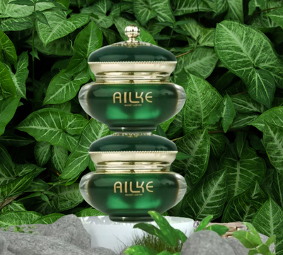 Ailke Retinol Anti Aging Firming Cream 2 Pcs Set