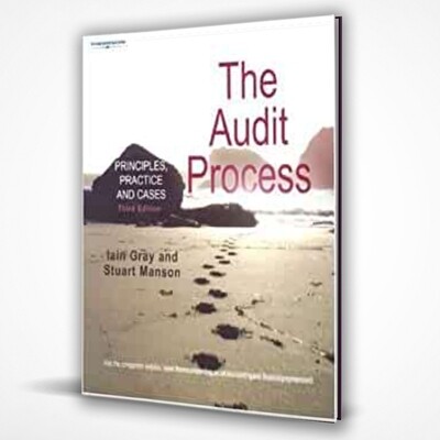 THE AUDIT PROCESS THE AUDIT PROCESS