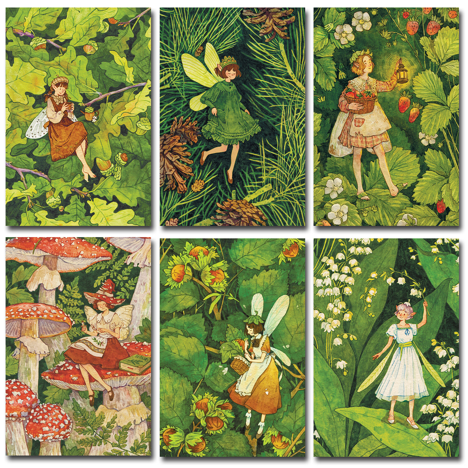 Лесные феи. Набор из 6 открыток