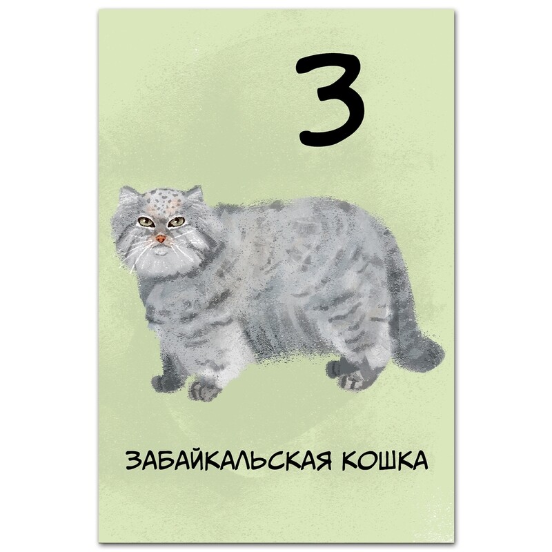 Забайкальская кошка