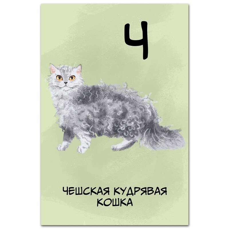Чешская кудрявая кошка (Селкирк-рекс)