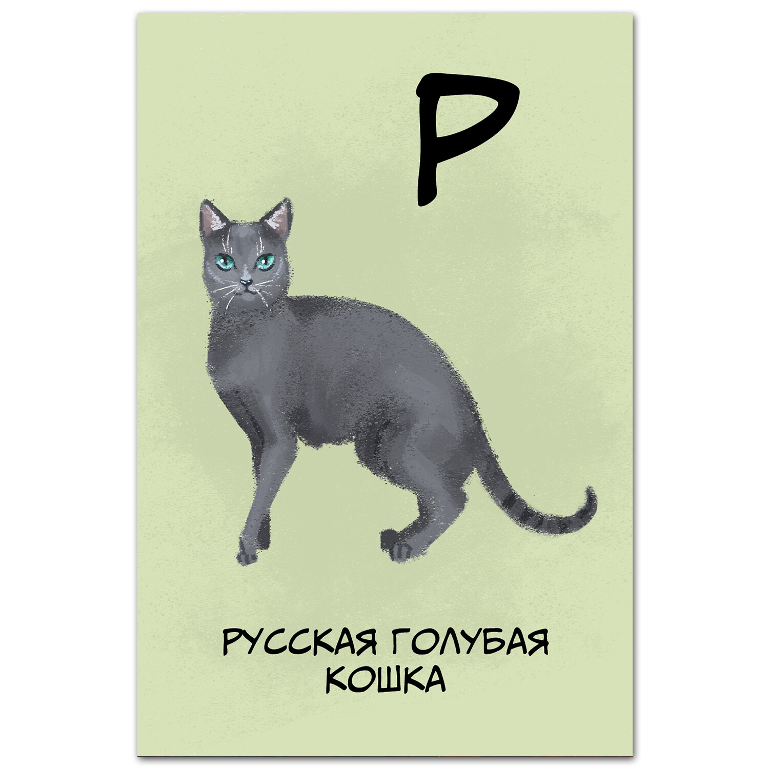 Русская голубая кошка