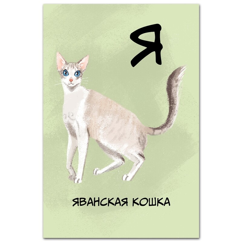 Яванская кошка (Яванез)