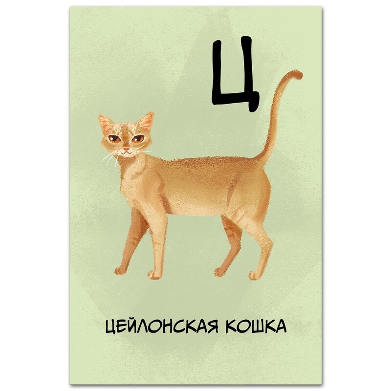 Цейлонская кошка