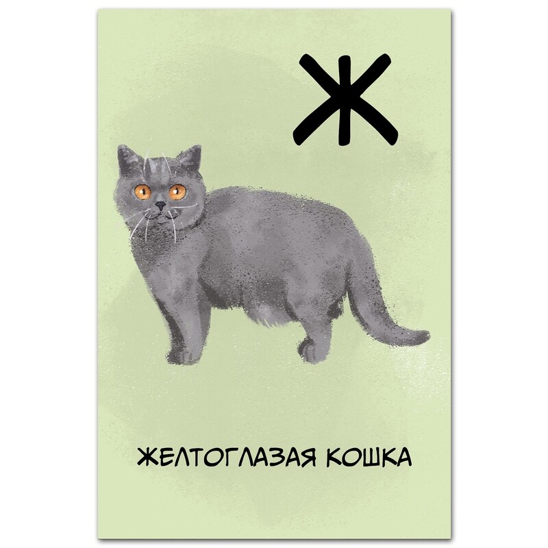 Желтоглазая (британская дымчатая) кошка