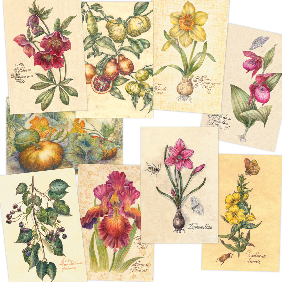 Ботаника. 9 открыток