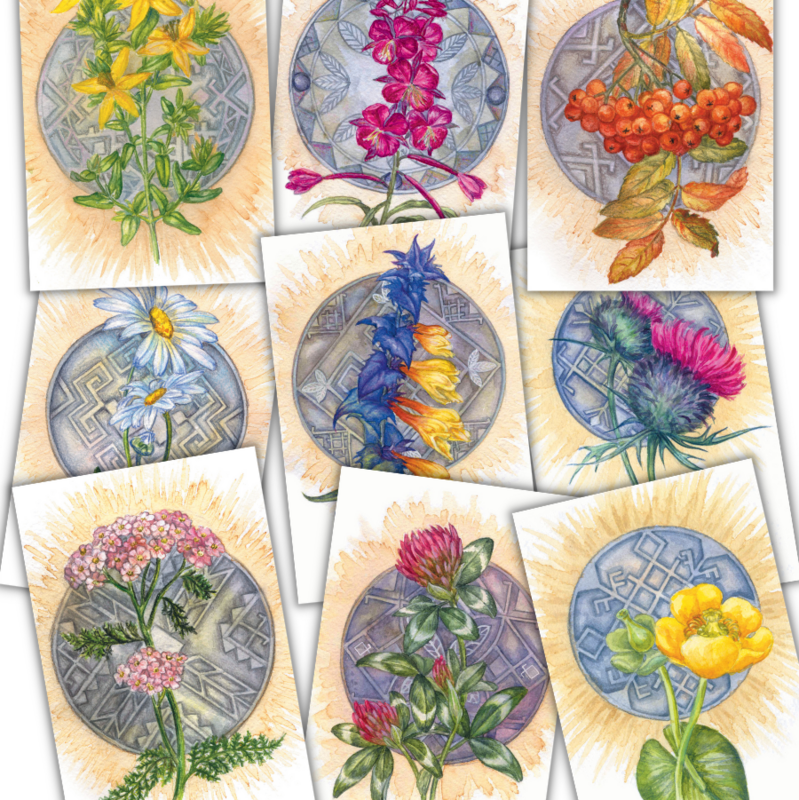 Травник. 9 ботанических открыток