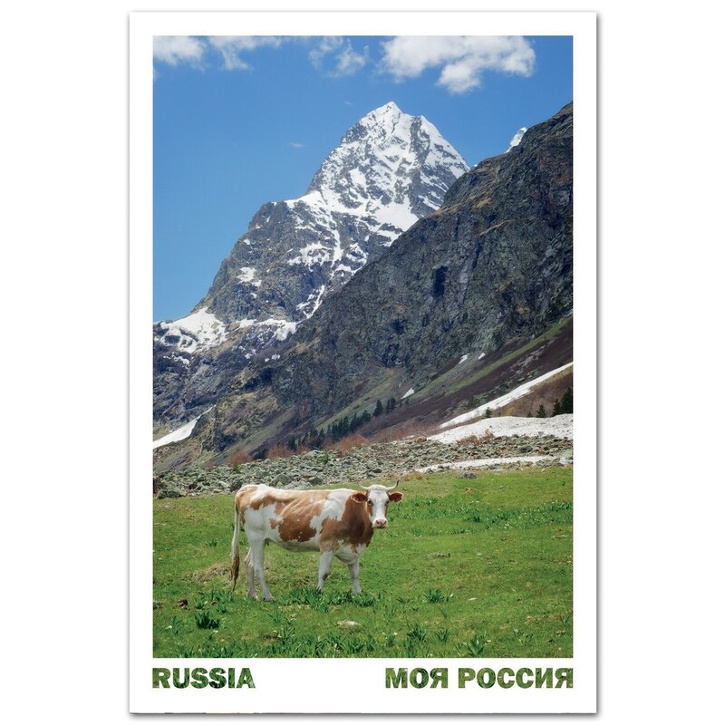 Альпийские луга Кавказских гор, Карачаево-Черкесия