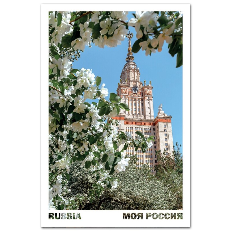 Яблони в цвету и главное здание МГУ, Москва