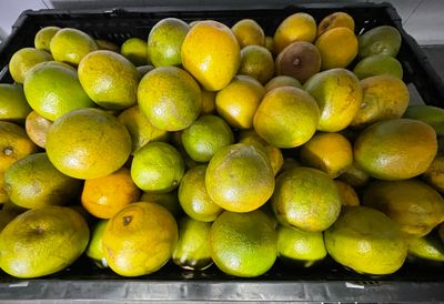 Oranges (loose) (FREE! DO NOT COUNT!)