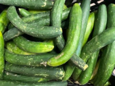 Local Cucumbers (loose) (FREE! DO NOT COUNT!)