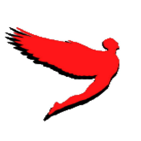 FlyGuy Designs