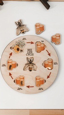 Wooden Bee Lifecycle Puzzle