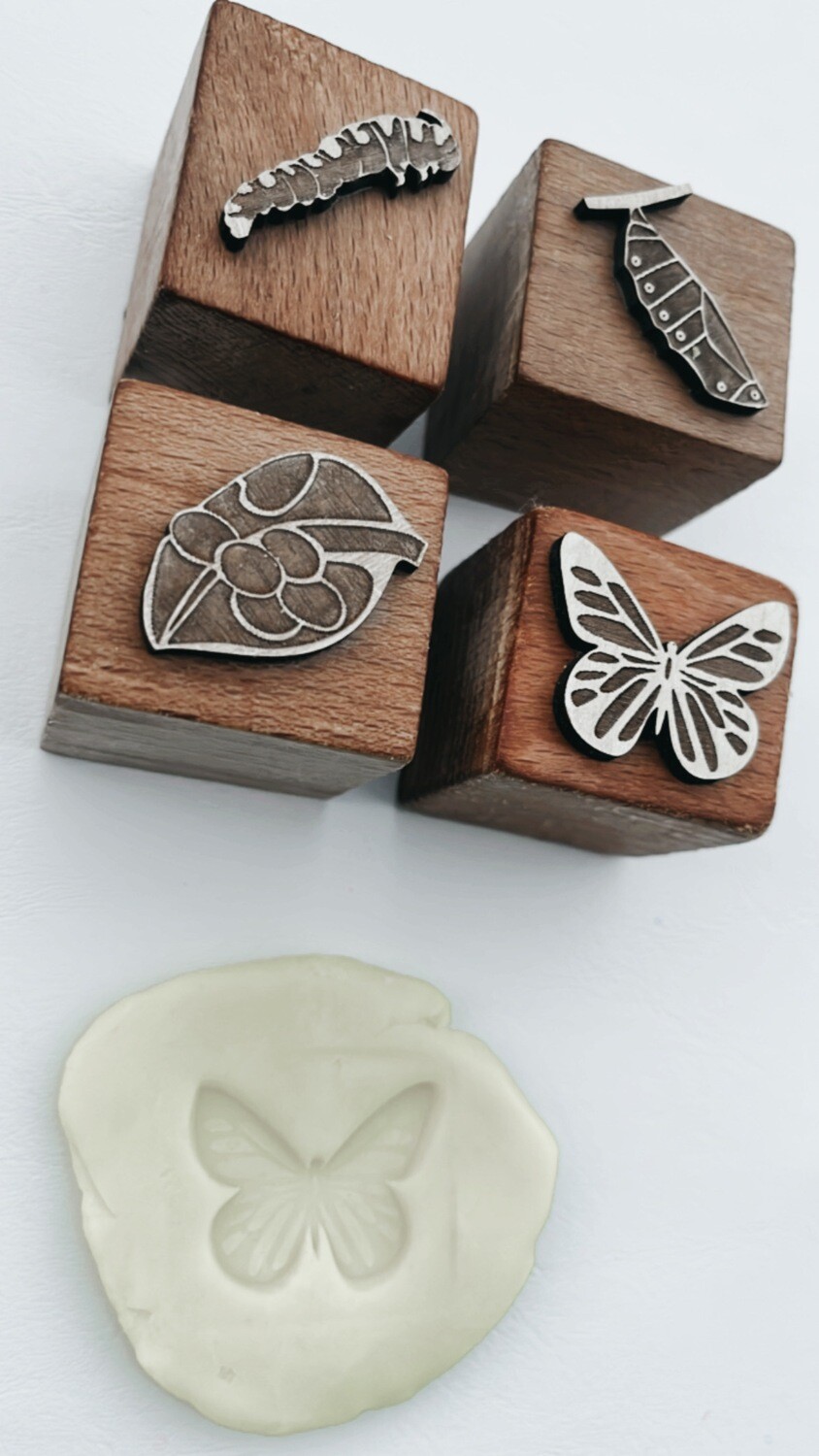 Butterfly Life Cycle Wooden Play Dough Stamps