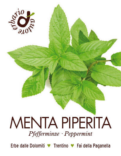 Menta piperita 25 gr