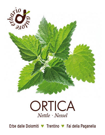 Ortica 25 gr