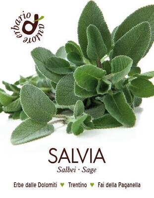 Salvia 25 gr