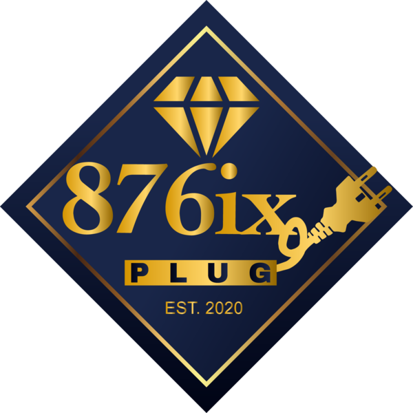 876ix Plug