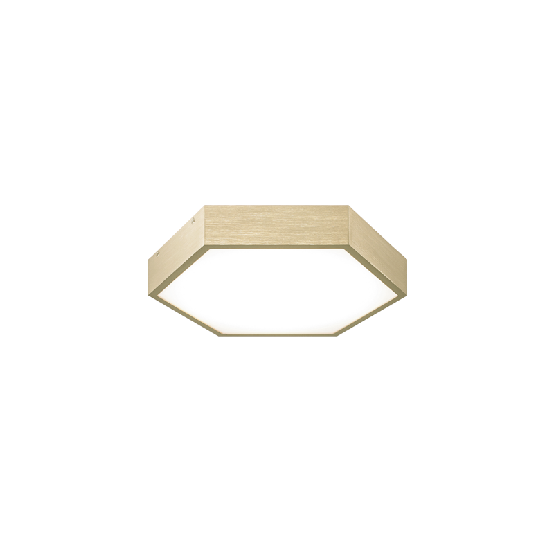 Hexol Flush Mount (M12611OG)
