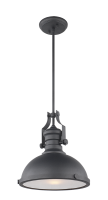Cresswell Pendant (C53802MB)