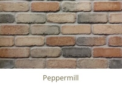 Canyon Brick Veneer (Thin Brick) available in five colors $17.98 SQFT