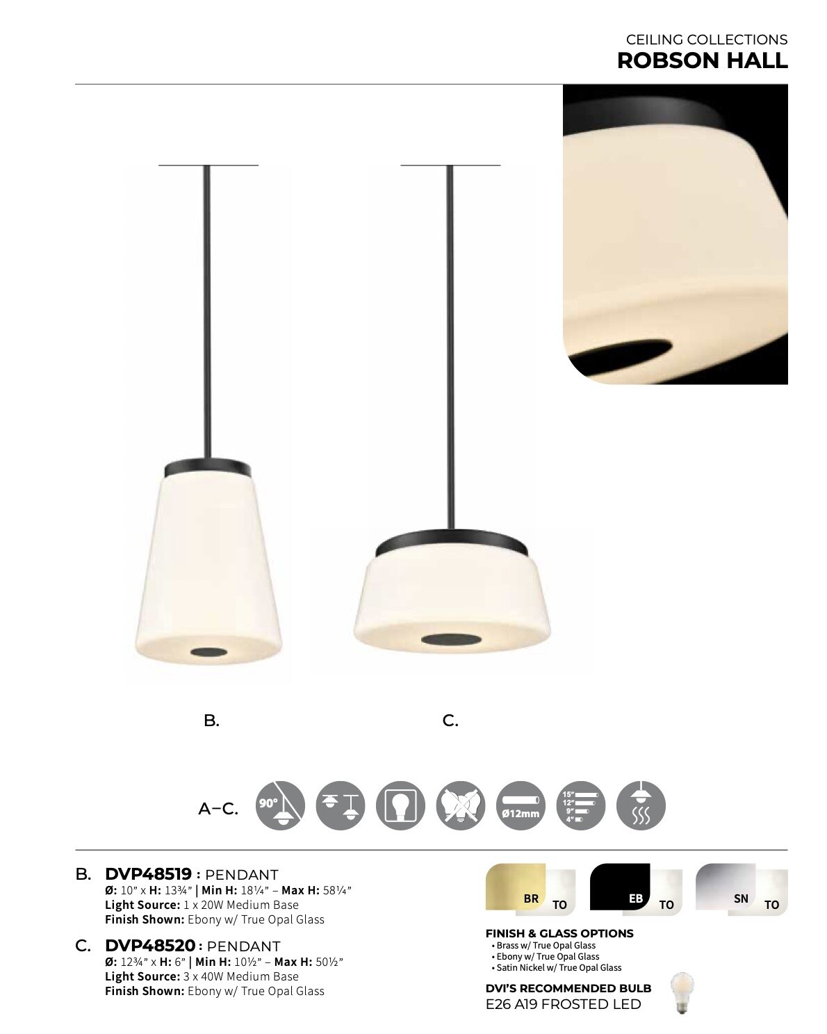 Robson Hall Pendant - DVP48520
