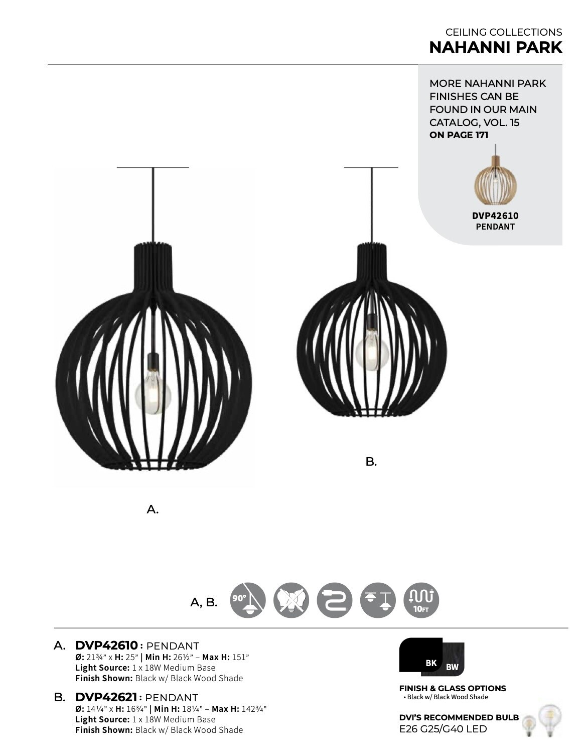 Nahanni Park Large Pendant - DVP42610